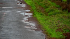 Potholed Roads Cause Tribals to Suffer