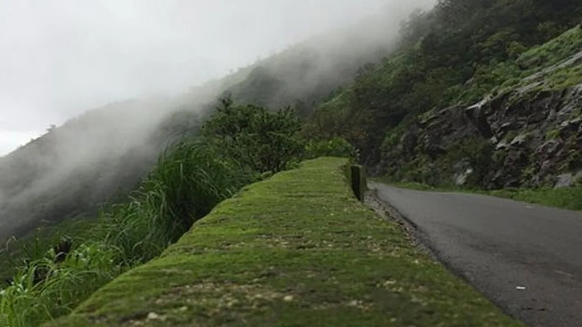 Environmentalists urge public review before 7,540 trees felled in Charmadi Ghat road project
