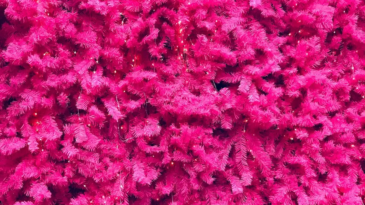 Amsterdam Artist Angel-Rose Oedit Doebé Weaves Identity Narratives with Pink Rice in Delhi Exhibition
